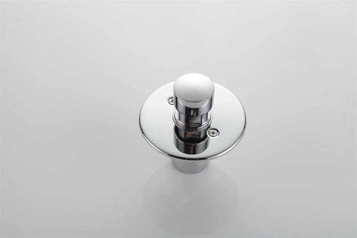 Time Delay Shower Valve